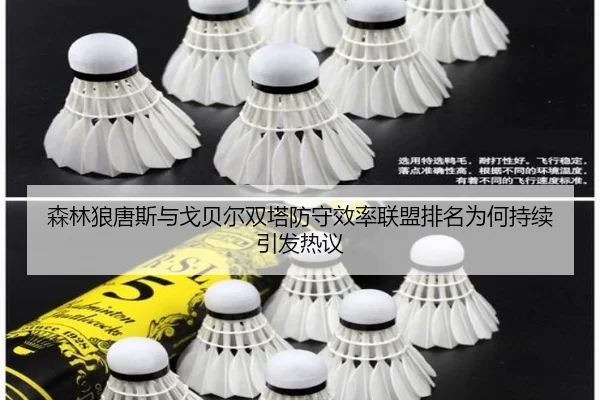 森林狼唐斯与戈贝尔双塔防守效率联盟排名为何持续引发热议